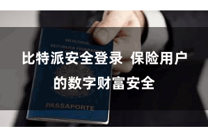 比特派安全登录  保险用户的数字财富安全