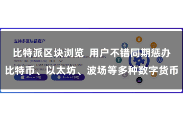 比特派区块浏览  用户不错同期惩办比特币、以太坊、波场等多种数字货币