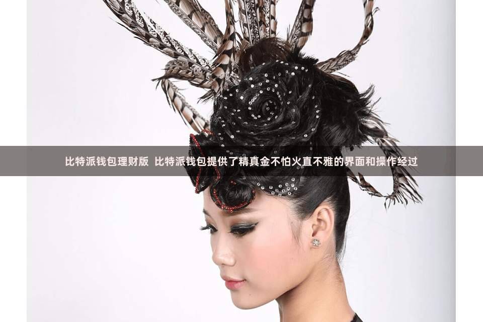 比特派钱包理财版  比特派钱包提供了精真金不怕火直不雅的界面和操作经过