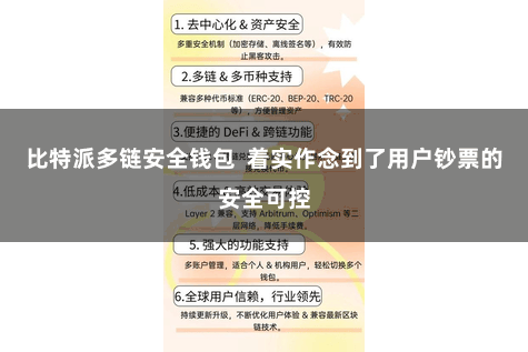 比特派多链安全钱包  着实作念到了用户钞票的安全可控